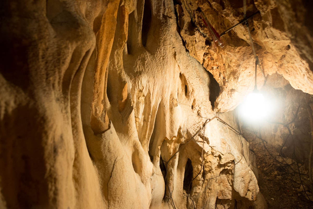 清見が岡鍾乳洞 | 母島のみどころ