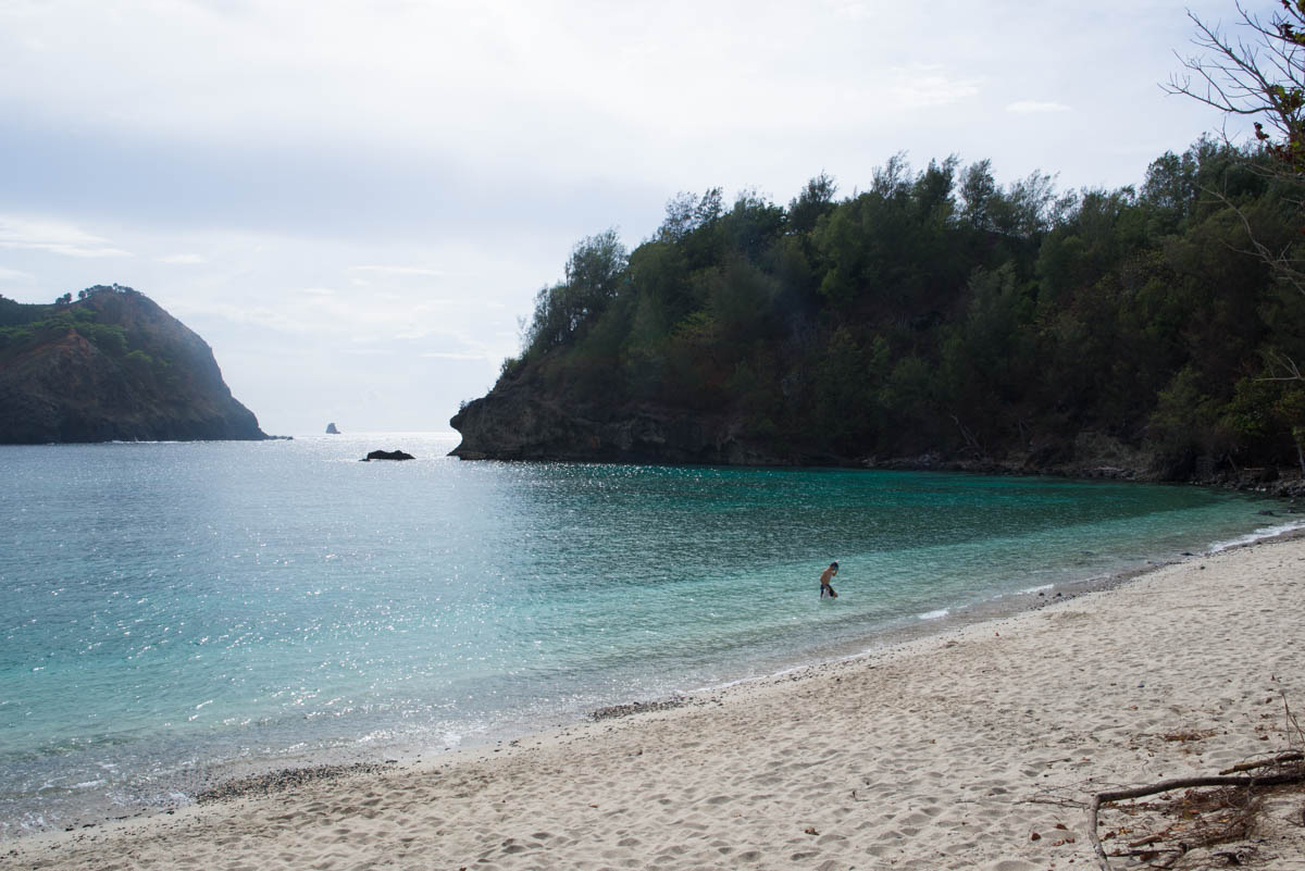 コペペ海岸 | 父島のみどころ